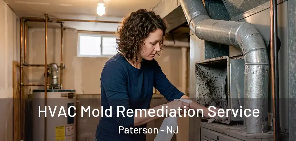 HVAC Mold Remediation Service Paterson - NJ