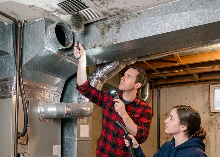 Premier HVAC Mold Remediation Company in Paterson